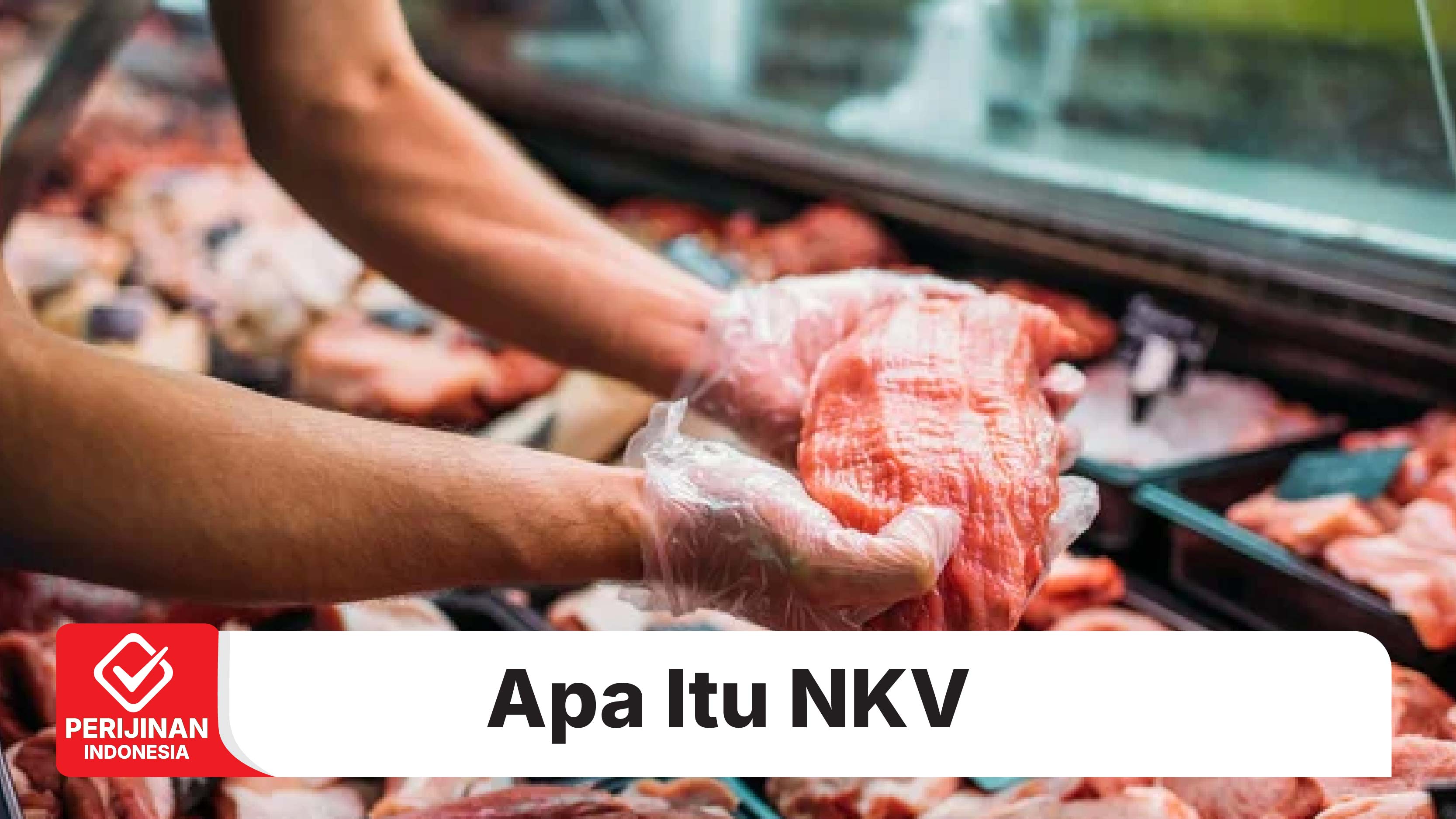 Apa itu NKV ?