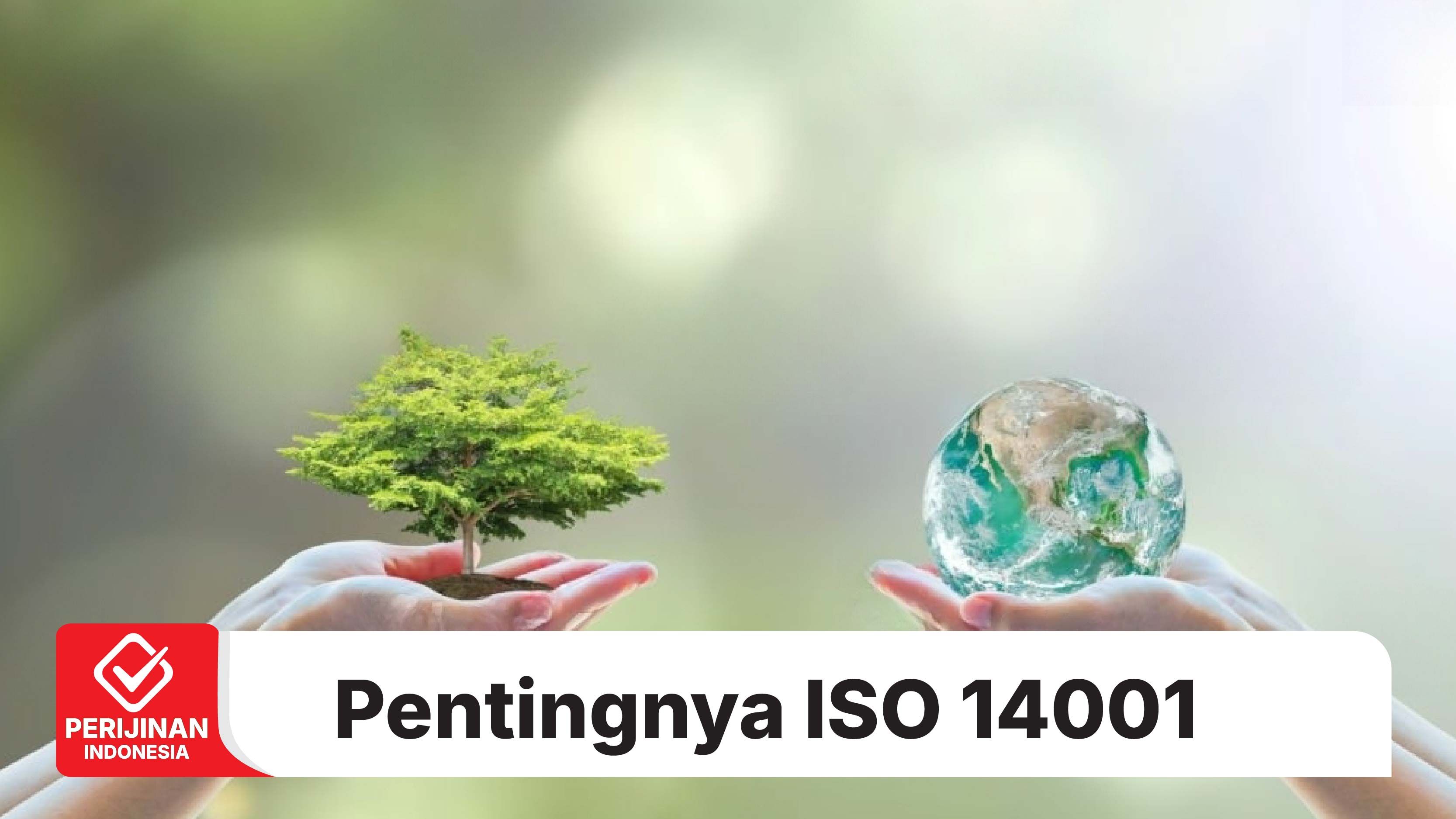 Pentingnya ISO 14001 untuk Dapur MBG
